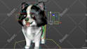 do 3d character rigging in maya, cinema 4d , blender, mixamo, unity game engine