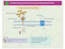 design your scientific and medical figures on biorender