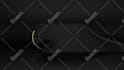 custom luxury logo animation intro video