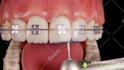 do professional 3d medical animation all fields