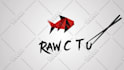 create custom logo animation and brand intro video