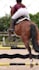 edit video clips for reels and social media