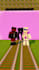 do a professional level minecraft animation