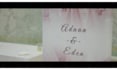 professional wedding video editing cinematic asian and western weddings