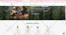 build shopify store, shopify store design or redesign shopify website