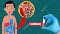 create 2d animated video of 10 minutes