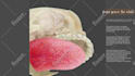 do human anatomy using 3d medical animation