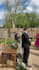 stitch and edit 360 videos professionally