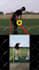 analyse your golf swing and give personalised pga golf coaching