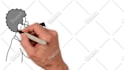 create a premium animation whiteboard explainer video