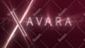create a professional custom logo animation in 24 hours
