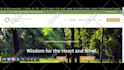 fix wordpress bugs, responsive issues, plugins and widgets