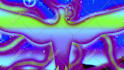 create a trippy animation lyric music video or animated music video