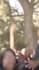 do funny gaming video editing with full of memes for youtube tiktok