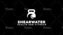 create a professional dynamic custom 2d logo animation