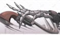 create proffesional 2d animation for your character