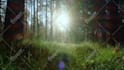 create full HD nature relaxing music video
