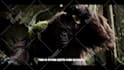 create cinematic ai videos using google veo 3