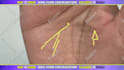 give a palm reading on video in 24h