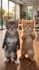 create viral ai animal videos, ai cat shorts for youtube shorts and tikto