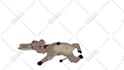 create beautifull 2d animation
