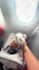 create dog or pet ugc content for social media