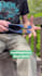 create dropshipping video ads and facebook ads