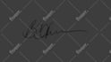 do handwritten signature logo animation in gold or silver