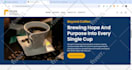 design professional shopify store, shopify website