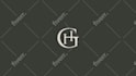 create professional custom 2d logo animation