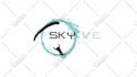 create a professional custom animation for your logo