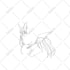draw line art animations