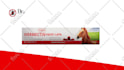 add cgi animal to footage, cgi and vfx effects, cgi video editing compositing