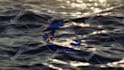 make sky into ocean logo reveal animation