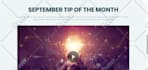 do squarespace website design, squarespace website development