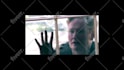 edit your video essays, explainer videos and more