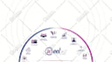 create custom 2d UI, character and vector animations for web and app
