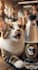 create ai cat videos and animal shorts for your social media