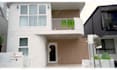 do professional image and video color grading and color correction