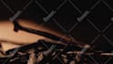 professional vfx cleanup and object wire removal from video
