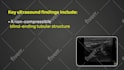 edit educational, medical, documentary, healthcare, courses and tutorial videos