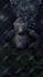 create you a gorilla tag or scary baboon animation