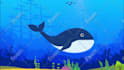 create educational 2d kids learning videos