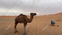 create a happy birthday video from the sahara desert