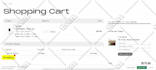 create a stunning shopify store