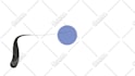 make a custom logo animation of any complexity
