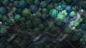 do animation for music video song