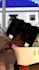 create a minecraft 3d animation