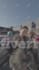 rotoscoping, motion tracking, background remove, screen replacement from videos