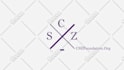create a professional custom animation for your logo